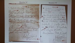 WhatsApp-Image-at-AM_11731554